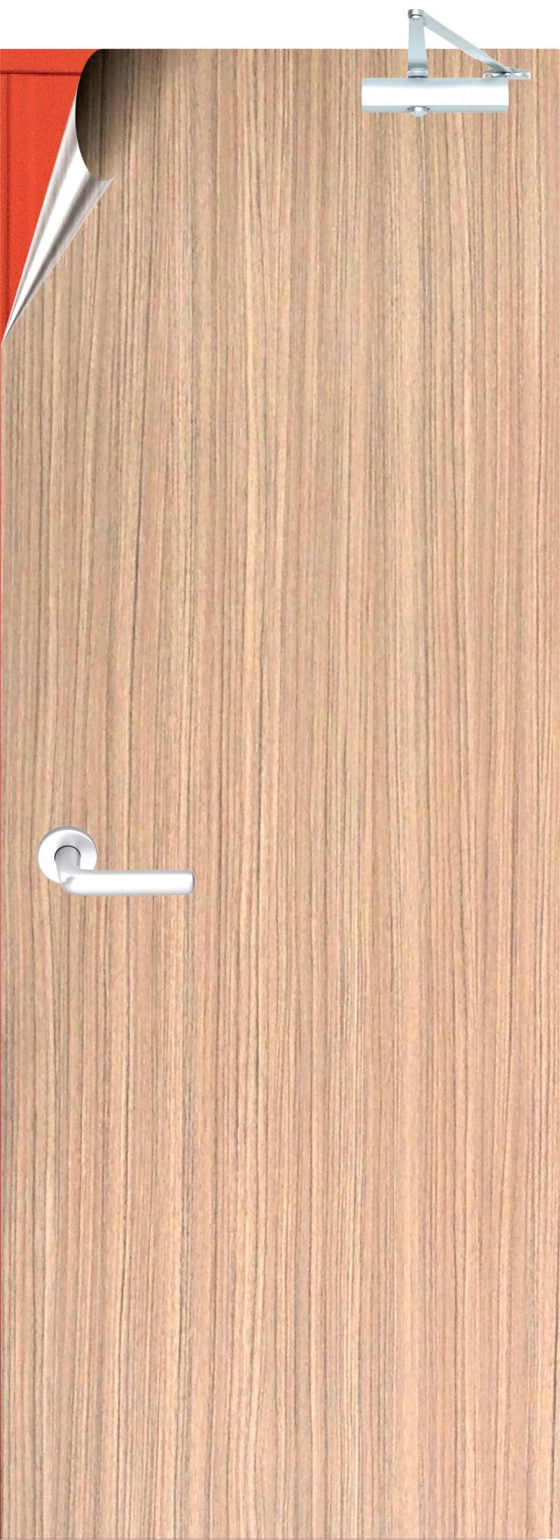 metal door with Lamin